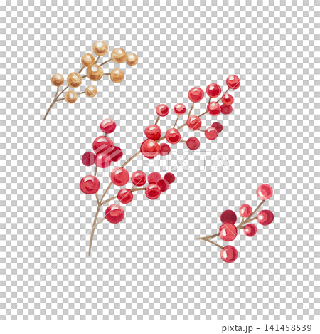 Watercolor red and gold berry branch set with realistic details. Isolated hand drawn botanical illustration element collection for Christmas and New Year design. Festive winter foliage Watercolor red and gold berry branch set with realistic details. Isolated hand drawn botanical illustration element collection for Christmas and New Year design. Festive winter foliage 141458539