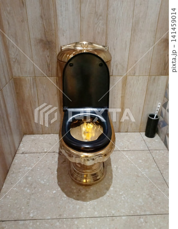 Golden toilet in a public restroom Golden toilet in a public restroom 141459014