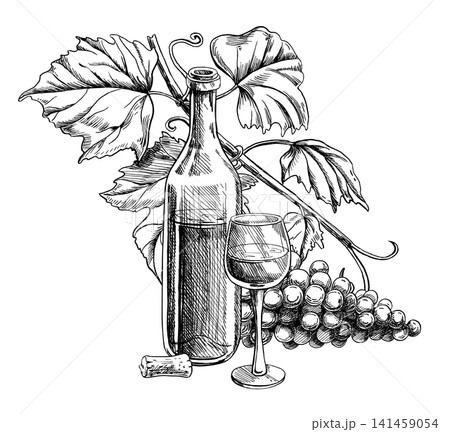 A wine bottle, grapevine, and wine glass in vector illustration. Ideal for: menu design, wine lists, labels, packaging, promotional materials, winery and restaurant websites, and food blogs. A wine bottle, grapevine, and wine glass in vector illustration. Ideal for: menu design, wine lists, labels, packaging, promotional materials, winery and restaurant websites, and food blogs. 141459054