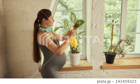 Curious young brunette expectant mother using smartphone near houseplants Curious young brunette expectant mother using smartphone near houseplants 141459323