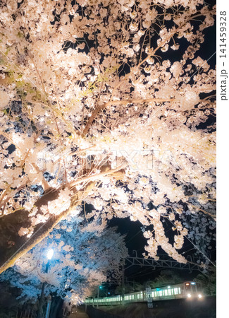 勝沼ぶどう郷の桜と中央本線 勝沼ぶどう郷の桜と中央本線 141459328