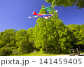 三木山森林公園の新緑とこいのぼり 141459405