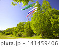 三木山森林公園の新緑とこいのぼり 141459406