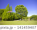 三木山森林公園の新緑とこいのぼり 141459407