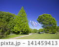 三木山森林公園の新緑とこいのぼり 141459413