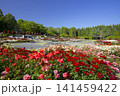 播磨中央公園のバラ園「ふじいでんこうローズガーデン」 141459422