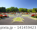 播磨中央公園のバラ園「ふじいでんこうローズガーデン」 141459423