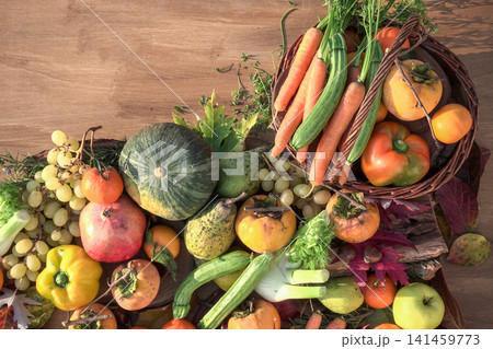 autumn fruits and vegetables top view 141459773