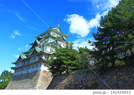 愛知県名古屋市、名古屋城の風景 愛知県名古屋市、名古屋城の風景 141459953