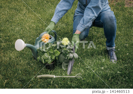 Woman with dahlias in flower pots and garden tools in the garden. Woman with dahlias in flower pots and garden tools in the garden. 141460513