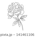 Flower peony line art, floral vector drawing in botanical sketch style for elegant invitations and creative designs. 141461106
