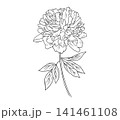 Vintage peony line art with delicate petals and foliage. Beautiful floral vector illustration in classic botanical sketch style. Ideal for elegant invitations and creative designs. 141461108