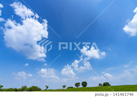 夏の青空と雲と草原 夏の青空と雲と草原 141461746