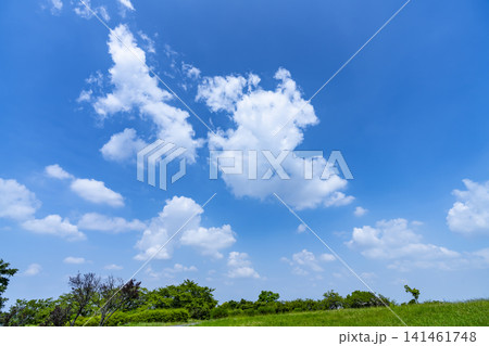 夏の青空と雲と草原 夏の青空と雲と草原 141461748