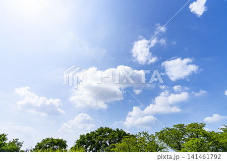 夏の青空と雲と樹木 夏の青空と雲と樹木 141461792