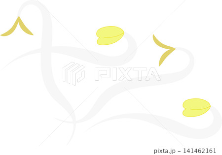 white bean sprout white bean sprout 141462161