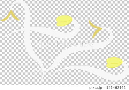 white bean sprout 141462161