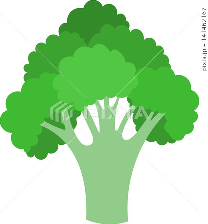 fresh green broccoli fresh green broccoli 141462167