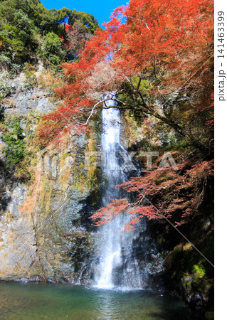 紅葉に彩られた箕面大滝 秋の大阪を代表する絶景スポット 141463399