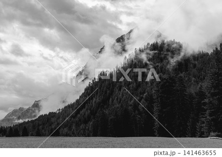 Black and white Dolomite mountain landscape with forest and drifting mist 141463655