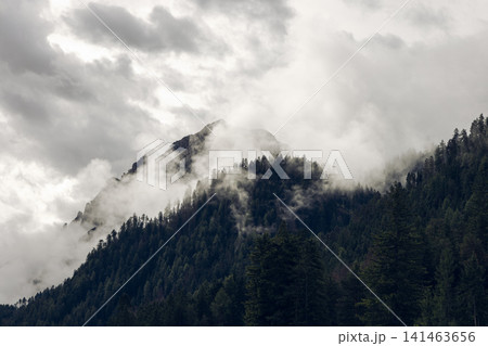 Cloud-wrapped Dolomite peak above forested slopes in South Tyrol, near San Vigilio di Marebbe Cloud-wrapped Dolomite peak above forested slopes in South Tyrol, near San Vigilio di Marebbe 141463656