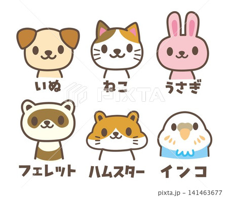 ペットでよくみる動物たち ペットでよくみる動物たち 141463677