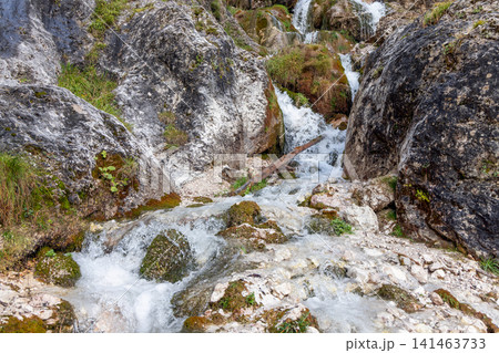 Fast alpine water flowing around mossy boulders at Ciastlins in South Tyrol, Italy Fast alpine water flowing around mossy boulders at Ciastlins in South Tyrol, Italy 141463733
