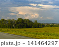 The evening horizon is covered with thunderclouds and a field with a forest. 141464297