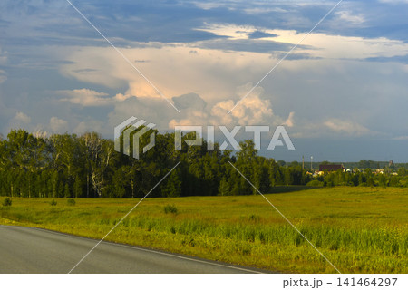 The evening horizon is covered with thunderclouds and a field with a forest. The evening horizon is covered with thunderclouds and a field with a forest. 141464297