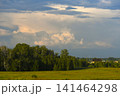 The evening horizon is covered with thunderclouds and a field with a forest. 141464298