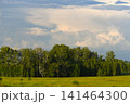 The evening horizon is covered with thunderclouds and a field with a forest. 141464300