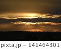 The evening horizon. The sun is in the clouds. A bright yellow-pink sunset. 141464301