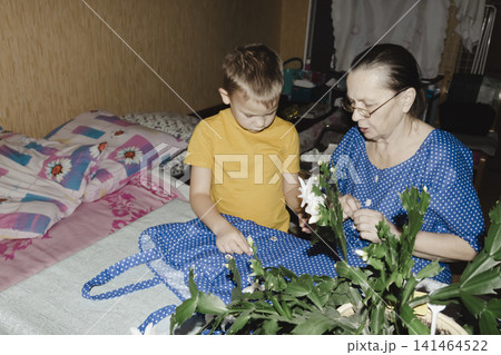 gentle grandmother blue top patiently shows her young grandson how sew piece fabric focused collaboration capturing warmth family learning passing traditions quiet joy creating something together gentle grandmother blue top patiently shows her young grandson how sew piece fabric focused collaboration capturing warmth family learning passing traditions quiet joy creating something together 141464522