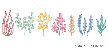 Set of different seaweeds vector graphics Set of different seaweeds vector graphics 141464846