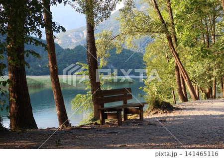 Wooden Bench Under Trees at Lago di Cavazzo Lake in Italy Wooden Bench Under Trees at Lago di Cavazzo Lake in Italy 141465116