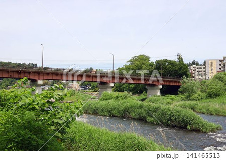 広瀬川河川敷から見た牛越橋 広瀬川河川敷から見た牛越橋 141465513