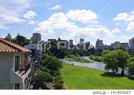 澱み橋からみた広瀬川と広がる仙台市繁華街の風景 141465687