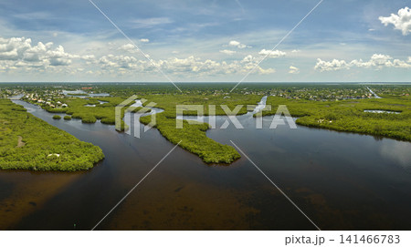Overhead view of Everglades swamp with green vegetation between water inlets. Natural habitat of many tropical species in Florida wetlands Overhead view of Everglades swamp with green vegetation between water inlets. Natural habitat of many tropical species in Florida wetlands 141466783