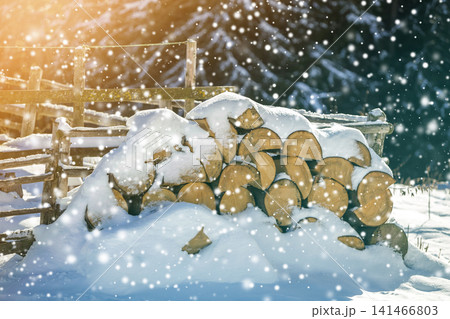 Neatly piled stack of chopped dry trunks wood covered with snow outdoors on bright cold winter sunny day, big snowflakes abstract background, Fire wood logs prepared for winter, ready for burning. 141466803