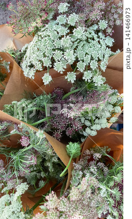 Bouquets of Queen Anne lace flowers wrapped in brown craft paper Bouquets of Queen Anne lace flowers wrapped in brown craft paper 141466973