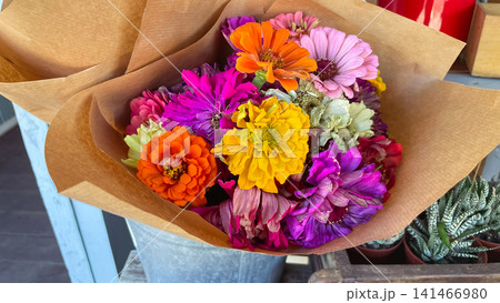 Colorful bouquet of fresh zinnia flowers wrapped in craft paper 141466980