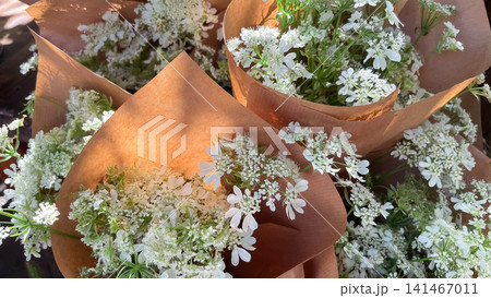 White orlaya grandiflora bouquets wrapped in brown craft paper outdoors 141467011