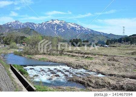 加茂川と粟ヶ岳の春景色(新潟県加茂市) 加茂川と粟ヶ岳の春景色(新潟県加茂市) 141467094