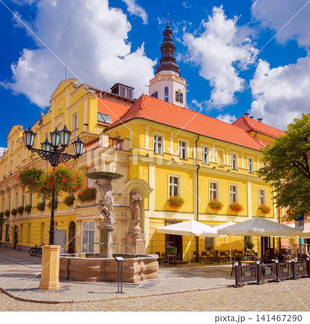 Historic Fountain and Town Hall Square in Swidnica, Lower Silesia, Poland 141467290
