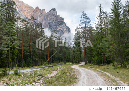 Forest roads curving toward misty Piz de Pares cliffs in Val dai Tamersc Forest roads curving toward misty Piz de Pares cliffs in Val dai Tamersc 141467433