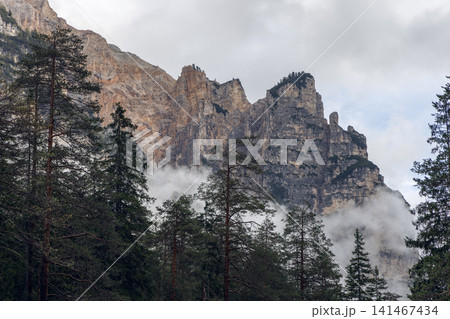 Jagged Piz de Pares rock towers rising above dark pines and a low fog bank 141467434