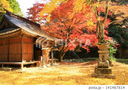 紅葉に包まれた赤田神社 紅葉に包まれた赤田神社 141467814