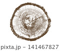 Close up view of a tree stump showing detailed growth rings, brown bark texture Close up view of a tree stump showing detailed growth rings, brown bark texture 141467827