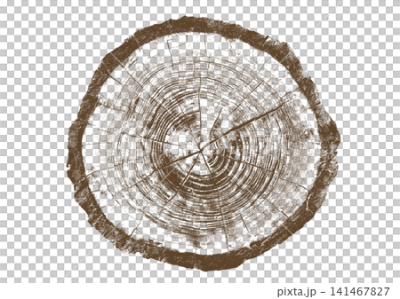 Close up view of a tree stump showing detailed growth rings, brown bark texture Close up view of a tree stump showing detailed growth rings, brown bark texture 141467827