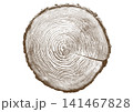 Close up view of tree stump showing detailed growth rings, brown bark texture Close up view of tree stump showing detailed growth rings, brown bark texture 141467828